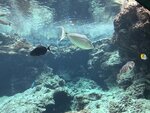 IMG_9639