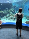 IMG_9644