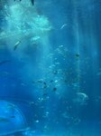 IMG_9662