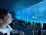 IMG_9671