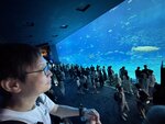 IMG_9672