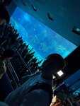 IMG_9676