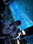 IMG_9677