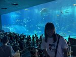 IMG_9678