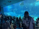 IMG_9679