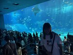 IMG_9680