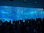 IMG_9684