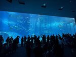 IMG_9685