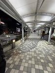 IMG_9929