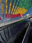 IMG_3719