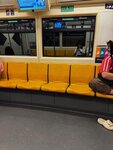 IMG_3910
