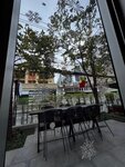 IMG_3915