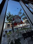 IMG_4056