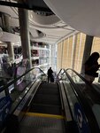 IMG_4077