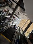IMG_4078