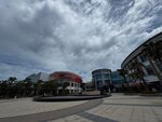 IMG_7227