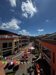 IMG_7283