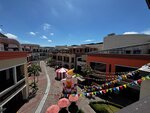 IMG_7286