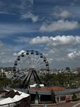 IMG_7287