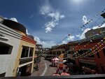 IMG_7301