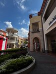IMG_7303