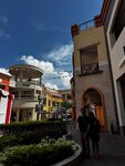 IMG_7308