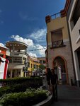 IMG_7310