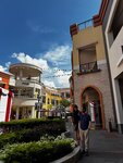 IMG_7316
