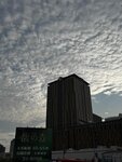 IMG_7461