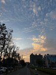IMG_7470