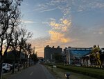 IMG_7471