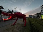 IMG_7483