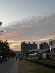 IMG_7484