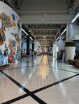 IMG_7984