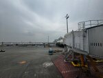 IMG_7987