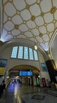 IMG_6740