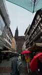 IMG_7532