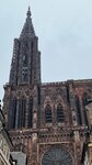IMG_7535