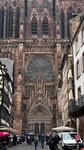 IMG_7536