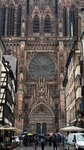 IMG_7537