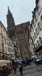 IMG_7539