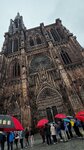 IMG_7544