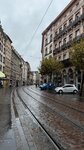 IMG_7551