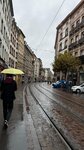 IMG_7552
