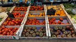 IMG_7595