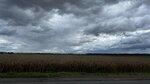 IMG_8262