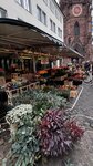 IMG_8322