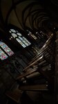 IMG_8334