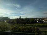 IMG_8734