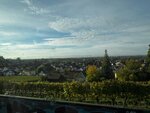 IMG_8735